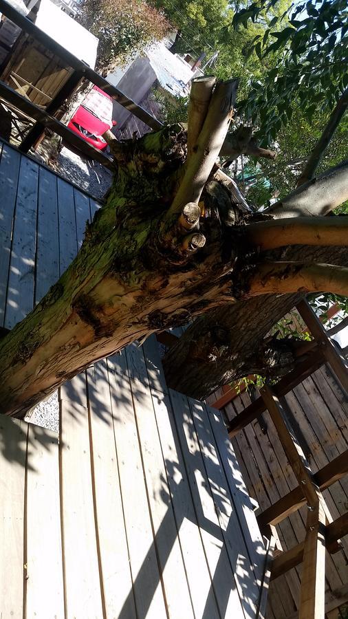 Mi Pesadilla Salinas Home Ngoại thất bức ảnh