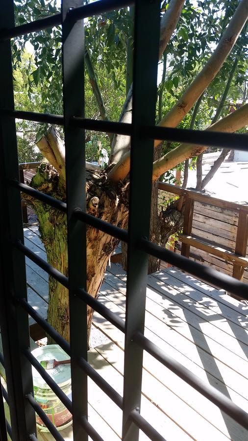 Mi Pesadilla Salinas Home Ngoại thất bức ảnh